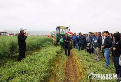 全國牧草（燕麥飼草）生產全程機械化推進活動在青海圓滿舉行，助力畜牧設備技術升級
